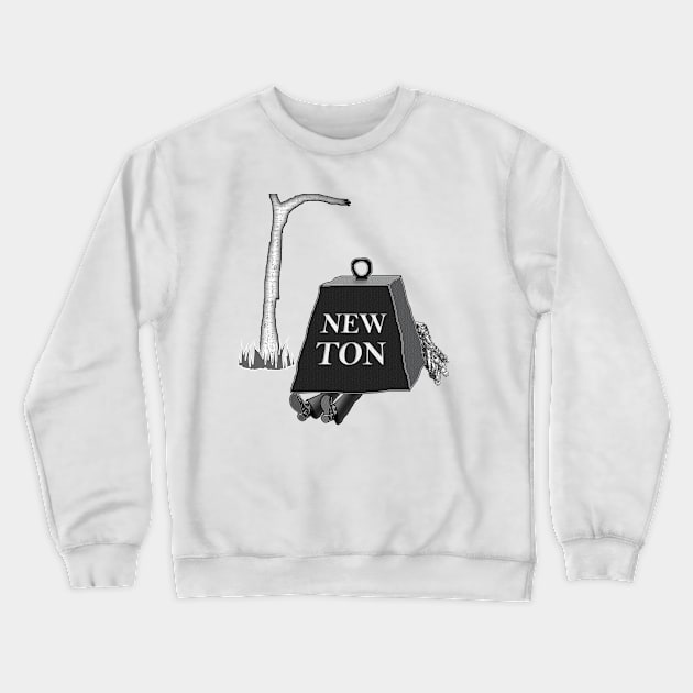 NewTon Crewneck Sweatshirt by blueshift